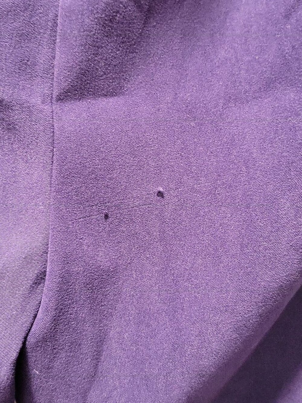 Allison Daley Pull-On Pants Womens 10 Purple Elastic Waist - comfy,relax,yoga - Picture 2 of 7